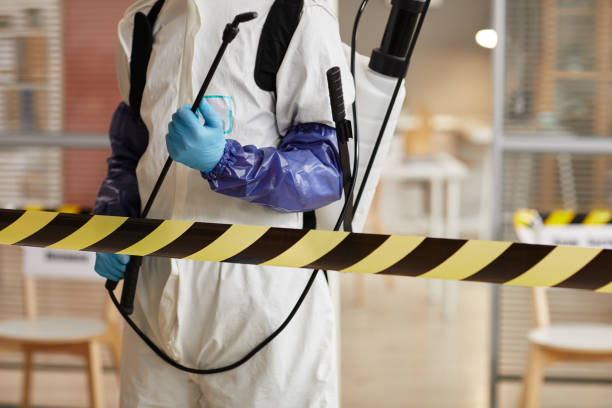 Professional Sewage Cleanup technician working in Lone Tree, CO